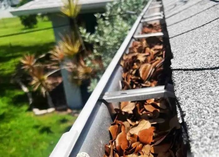 Gutter Cleaning Waggaman home page